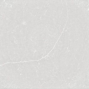 Desert Silver